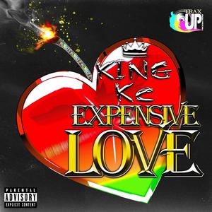 Expensive Love (Explicit)