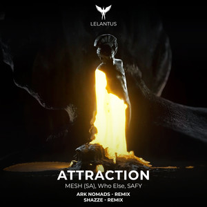 Attraction (Ark Nomads Remix)