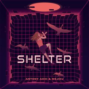 Shelter