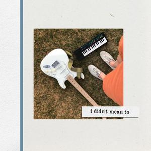I Didn't Mean To