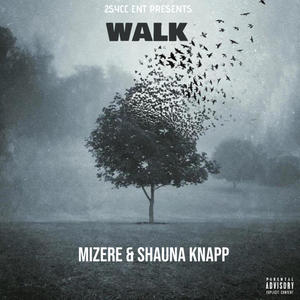 Walk (feat. Shauna Knapp) [Explicit]