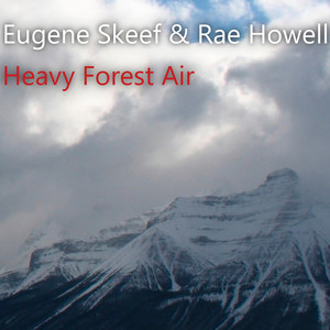 Heavy Forest Air