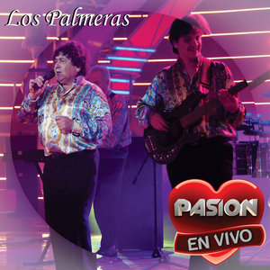 Perra (Live)