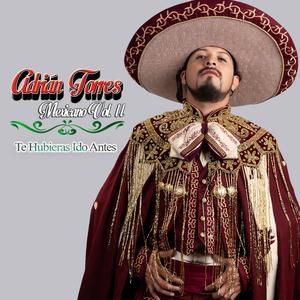 Te Hubieras Ido Antes