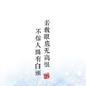 我总在每一个黑夜想你