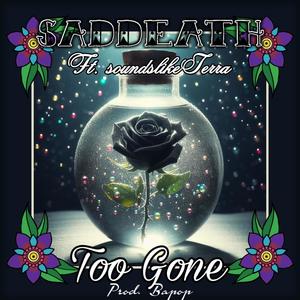 Too Gone (feat. soundslikeTerra) [Explicit]