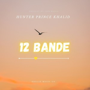 12 Bande