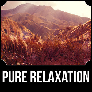 Pure Relaxation - Music for Healing Through Sound and Touch, Therapeutic Massage, Day Spa and Relaxation