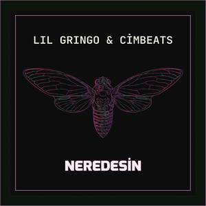 Neredesin (Explicit)