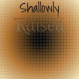 Shallowly Raised