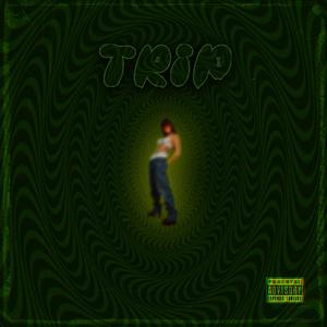 TRIP (Explicit)