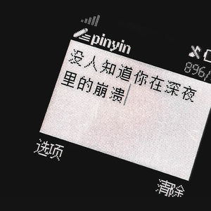 申请添加对方为好友 (伴奏)