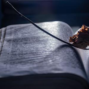 DarkSoul - are you ok