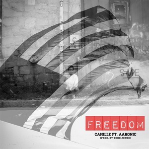 Freedom(feat. Aaronic)
