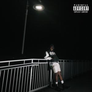 Mad Nigga Rich (Explicit)