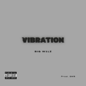 Vibration (feat. StillMixingBeats) [Explicit]