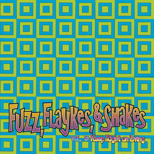 Fuzz, Flaykes & Shakes, vol. 5