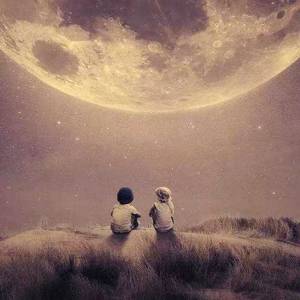 读诗：情有独钟