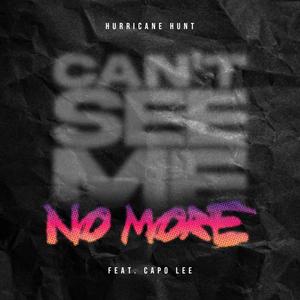 Can't See Me No More (feat. Capo Lee) [Explicit]