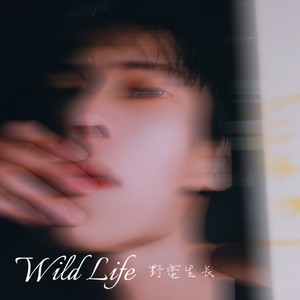 野蛮生长（Wild Life）