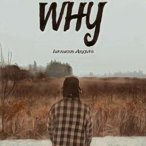 WHY (feat. Funbus, CTP Cayboi & Snorkatje) [Explicit]