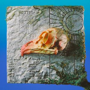 Nascent (feat. Husny)