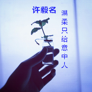 温柔只给意中人