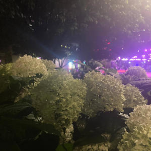 Before the Shine (Explicit)