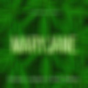 MaryJane (feat. 1200Bam, SWmarq & Lildavo) (Explicit)