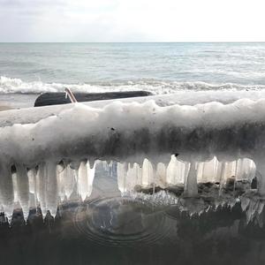 Some Part of Me is Hibernating