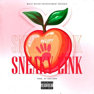 Sneaky Link (Explicit)