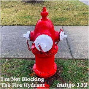 I'm Not Blocking The Fire Hydrant