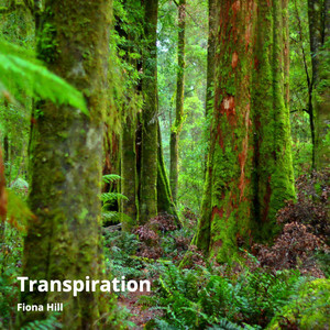 Transpiration