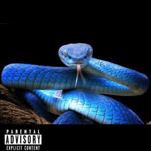 Snakes (Explicit)