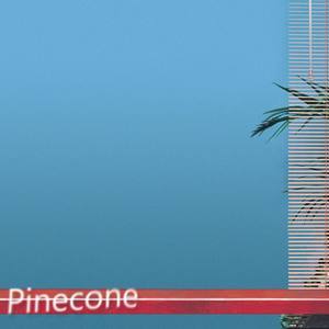 Pinecone (Explicit)