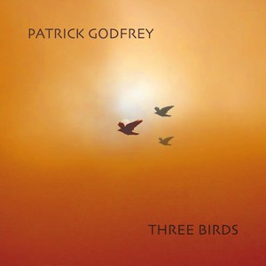 Patrick Godfrey - The Blessing Moon