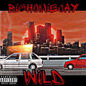 WILD (Explicit)