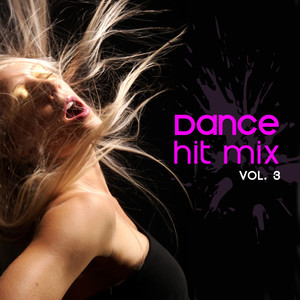 Dance Mix Hits Vol. 3