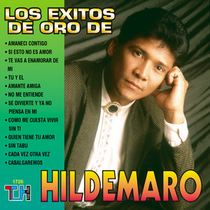 Los Exitos De Oro De Hildemaro