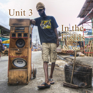 In The Fields (Instrumental Version)