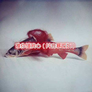 反方向的钟
