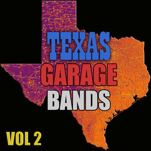Texas Garage Bands, Vol. 2
