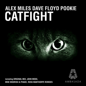 Catfight (Original Mix)