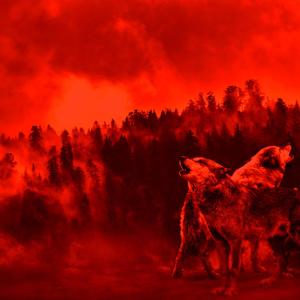 SEARCH & DESTROY (Explicit)