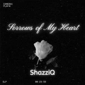 Sorrows of My Heart