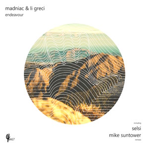 Endeavour (Remix, Selsi Remix)