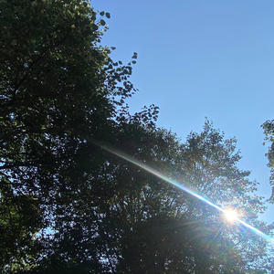 get rich! (feat. King flash) (Explicit)