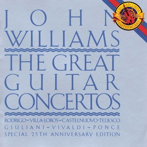 Guitar Concerto No. 1 in D Major, Op. 99 - I. Allegretto