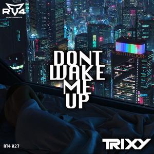 Dont Wake Me Up (Radio Edit)