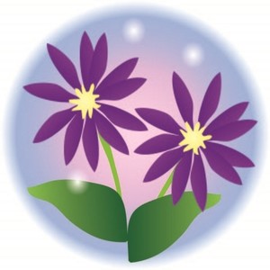 ミヤコワスレの花束